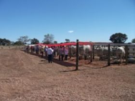Tocantins tem primeira feira do Pró-Genética