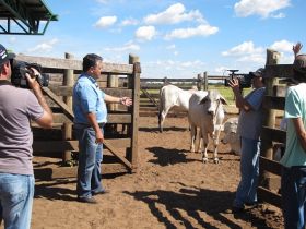 Novo Agrocurso apresentará aulas sobre Manejo Racional