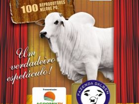Leilão oficializado pelo PMGZ oferta reprodutores nelore PO