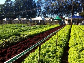 Porteira Adentro e Encontro do Produtor Rural movimentam FAZU