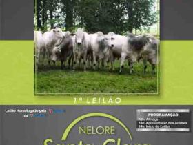 Norte aguarda oferta de touros do PMGZ