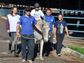 Estudantes aprendem sobre pecuária leiteira