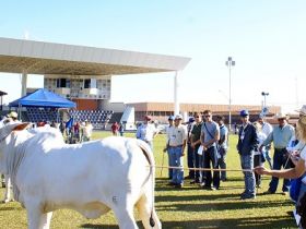 Inscrições abertas para cursos de Pós-Graduação na FAZU