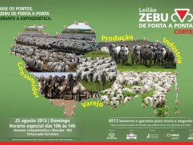 Leilão Zebu de Ponta a Ponta é novidade na ExpoGenética