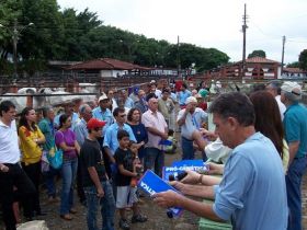 Uberaba sedia feira de touros do Pró-Genética