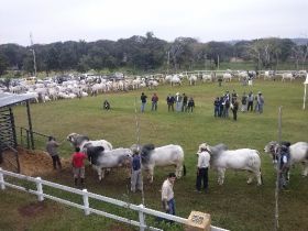 ABCZ participa de feira no Paraguai