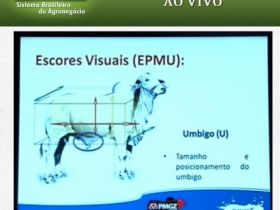 PMGZ é tema de palestra durante a Expo Araçatuba 2013