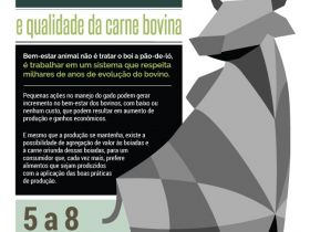 Curso da Scot Consultoria debate Bem Estar Animal