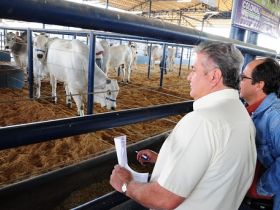 PNAT e Prêmio Cláudio Sabino são atrações na ExpoGenética