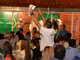 Leilões da ExpoGenética  superam R$ 3 milhões