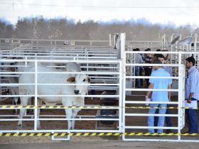 Avaliações do PNAT tem início nesta quarta-feira