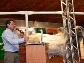 Leilões da ExpoGenética 2013 movimentam mais de R$ 3,7 milhões