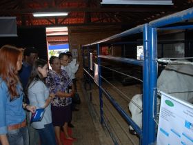 Visitantes estrangeiros conhecem a ExpoGenética