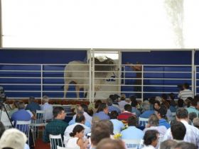 Os 12 eleitos do PNAT são anunciados em grande festa
