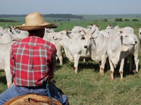 ABCZ promove treinamento no Maranhão.