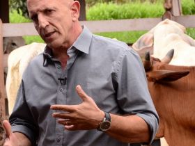 Superintendente da ABCZ ministra minicurso na abertura da Interconf 