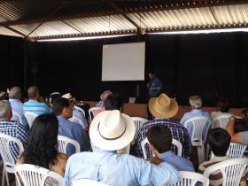 Dia de campo apresenta resultados de PGP e manejo de pastagens