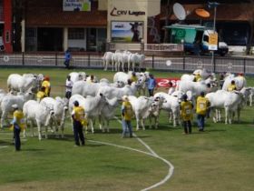 Inscrições para Expoinel continuam abertas
