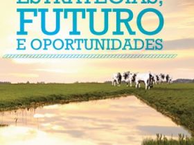 ABCZ participa de workshop sobre Associações de Pecuaristas