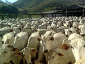 ProduZ cumpre calendário de treinamento no Norte