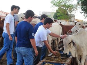 Zootecnia no período noturno é a novidade da FAZU a partir de 2014