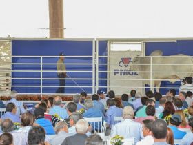 PMGZ divulga regulamento para PNAT 2014