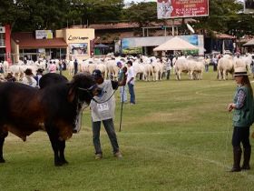 CJRZ promove prova para efetivação de jurados