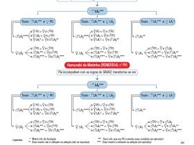 Resultados oficiais do MAPA sobre parentesco de touros  Nelore.