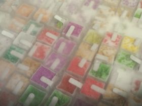 Touros PNAT 2013 em etapa de distribuição de sêmen