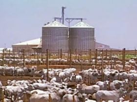 72 horas de Pró-Genética no Oeste Baiano      