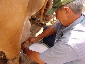 Esclarecimento ? Cobranças Lactações Encerradas