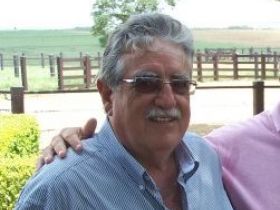 Nelore mocho perde criador João Cariello