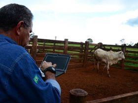 ABCZ realiza pesquisa anual de satisfação dos criadores