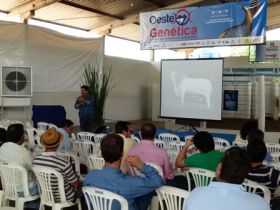 ABCZ bem perto dos criadores da Bahia