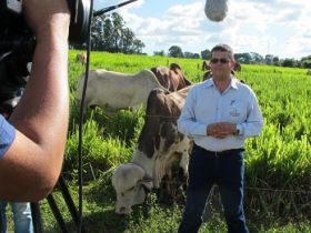 Novo Agrocurso ?Manejo de Pastagem? começa em Janeiro