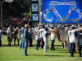 Inscrições abertas para a ExpoZebu 80 anos