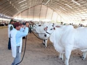 ABCZ marca presença na Expo Nelore Avaré