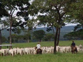 ABCZ dá início à parceria com o CEPEA