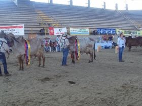 Jurados brasileiros participam de julgamentos internacionais