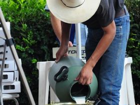 Concurso Leiteiro ganha nova categoria