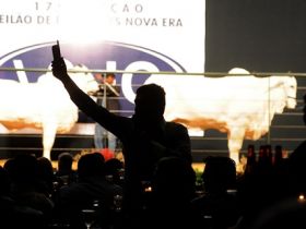 ExpoZebu 80 anos terá 36 leilões e 3 shoppings