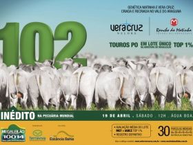 PMGZ homologa lote recorde do Megaleilão 