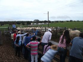 PGP fundamenta Dia de Campo no TO