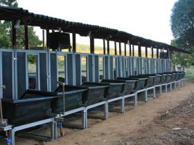 Inscrições abertas para 	1ª Prova de Eficiência Alimentar - ABCZ/FAZU