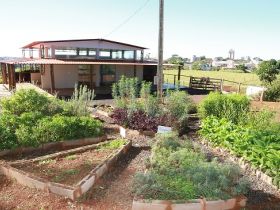 Shopping ofertará animais nascidos no projeto de Leite Orgânico da FAZU