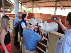 Estrangeiros terão 20 opções de Farm Tour 