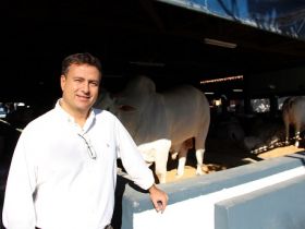 Presidente da ABCZ faz balanço do início da ExpoZebu 80 anos