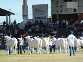 ExpoZebu recebe quase 170 mil visitantes