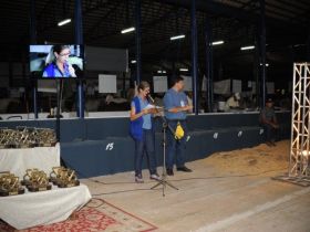 Concurso Leiteiro da ExpoZebu termina com 5 novos recordes