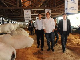 Eduardo Campos, pré-candidato à Presidência, visita a ExpoZebu 80 anos